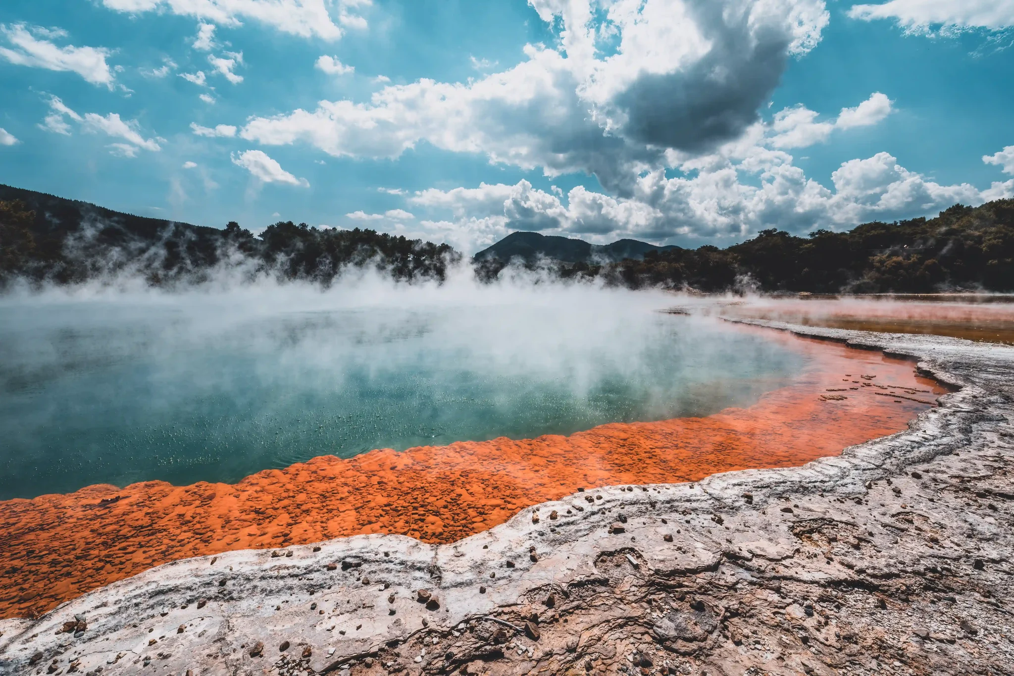 Toxic beauty